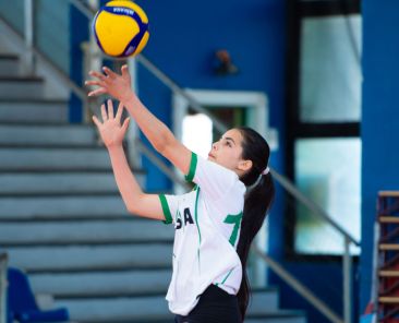 Volei-portada