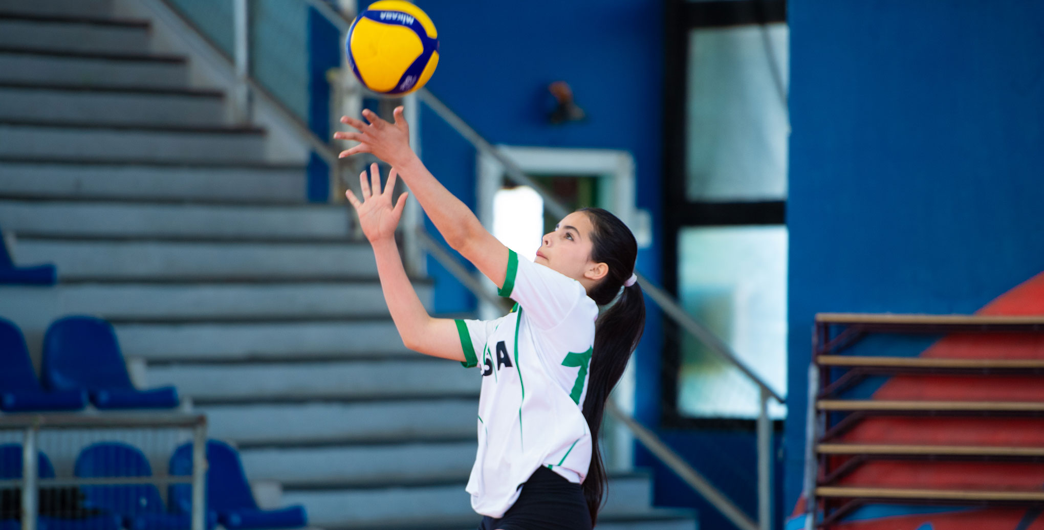 Volei-portada